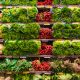 Supermarket Sales